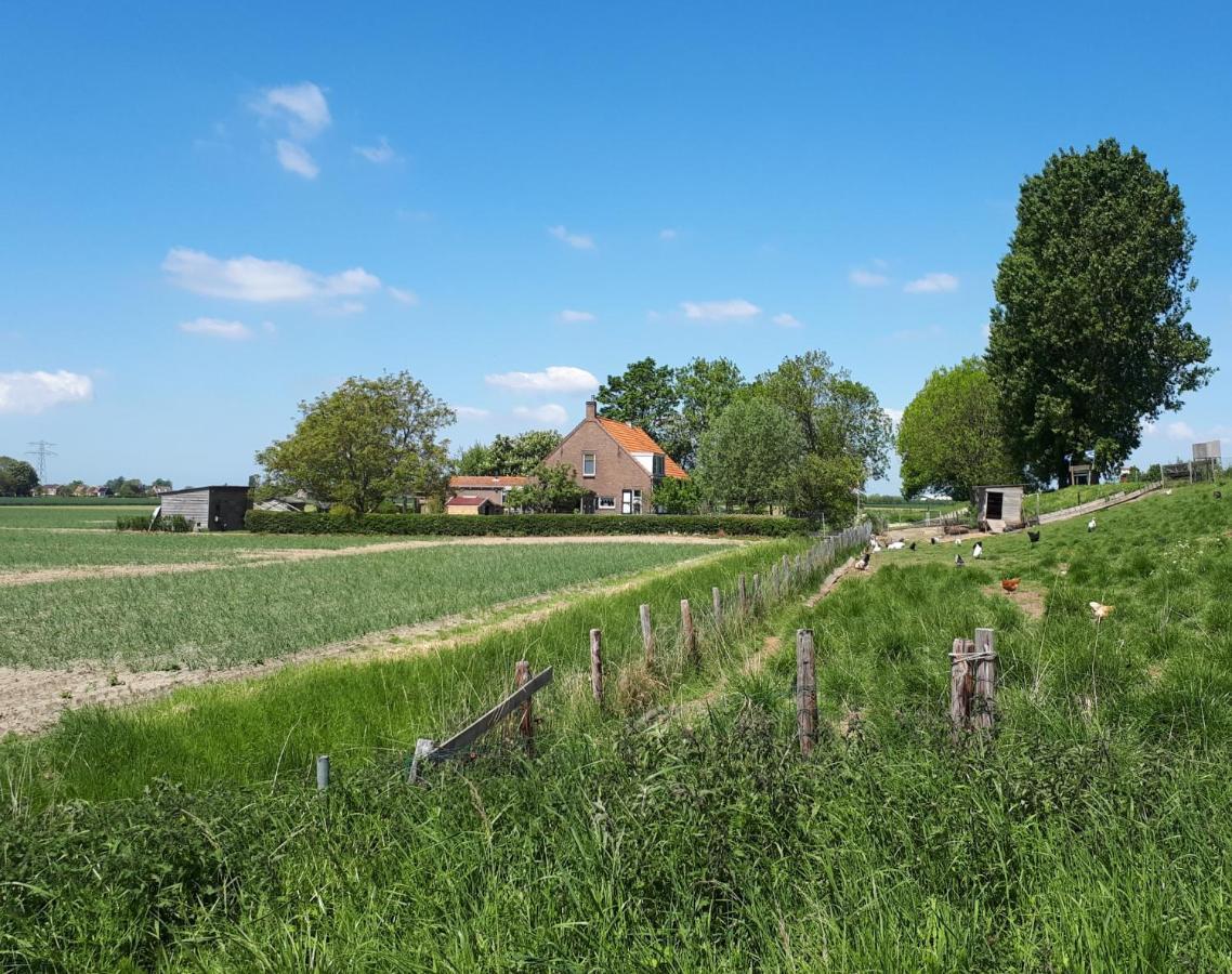 Lewedorp “In Oans Oefje” Parel In De Polder! 아파트 외부 사진