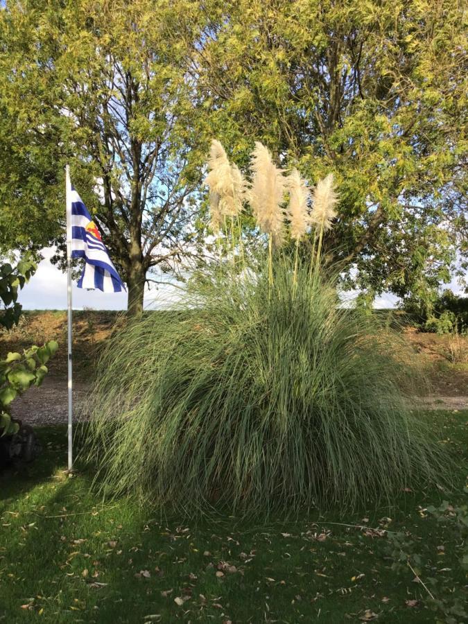 Lewedorp “In Oans Oefje” Parel In De Polder! 아파트 외부 사진
