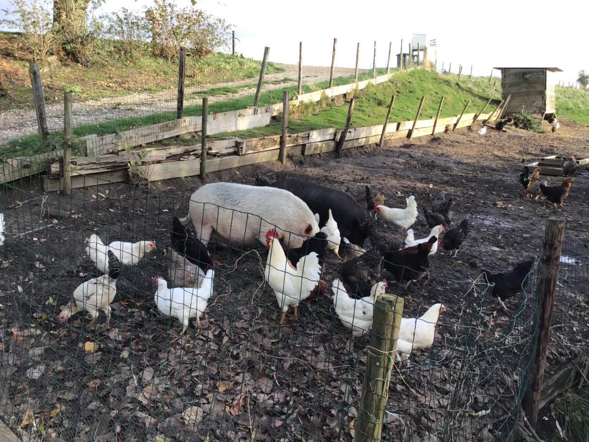 Lewedorp “In Oans Oefje” Parel In De Polder! 아파트 외부 사진